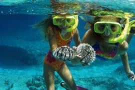 Snorkelling Locations in Mesa Arizona