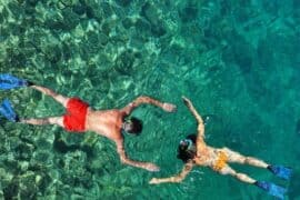 Snorkelling Locations in Norwalk California