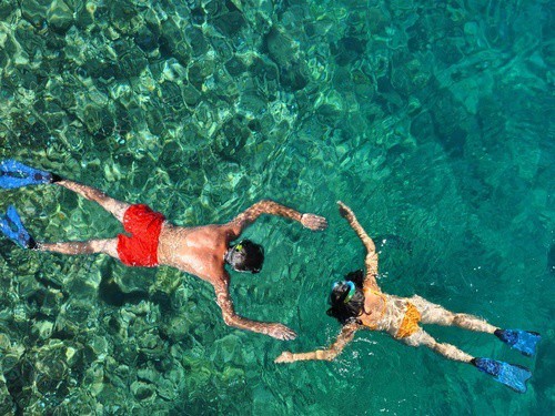 Snorkelling Locations in Norwalk California