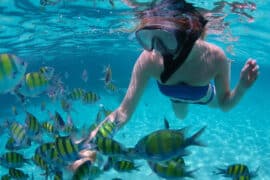 Snorkelling Locations in Odessa Texas