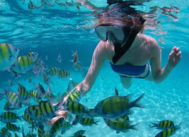 Snorkelling Locations in Odessa Texas