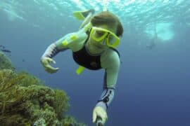 Snorkelling Locations in Ogden Utah