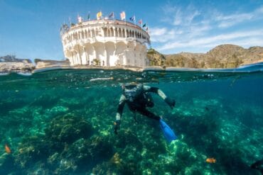 Snorkelling Locations in Orange California