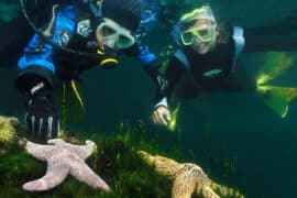 Snorkelling Locations in Palo Alto California