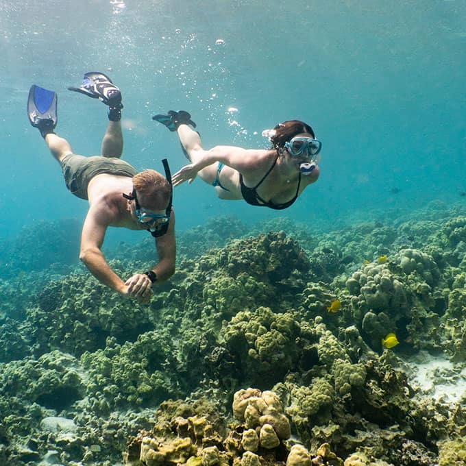 Snorkelling Locations in Phoenix Arizona