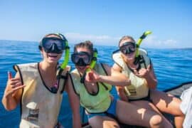 Snorkelling Locations in Provo Utah