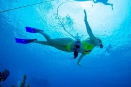 Snorkelling Locations in Renton Washington