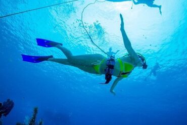 Snorkelling Locations in Renton Washington