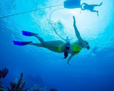 Snorkelling Locations in Renton Washington