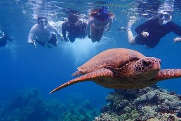 Snorkelling Locations in Richmond California