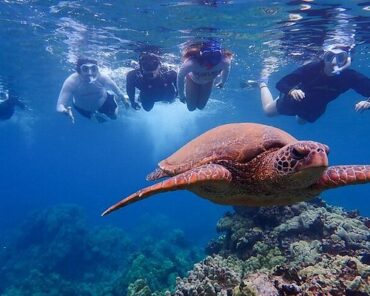 Snorkelling Locations in Richmond California