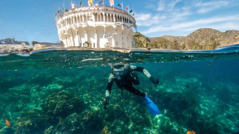 Snorkelling Locations in San Antonio Texas