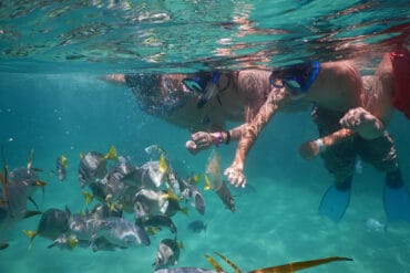 Snorkelling Locations in Santa Maria California