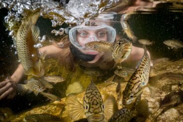 Snorkelling Locations in South Jordan Utah