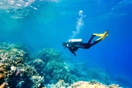 Snorkelling Locations in Stockton California