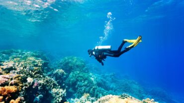 Snorkelling Locations in Stockton California