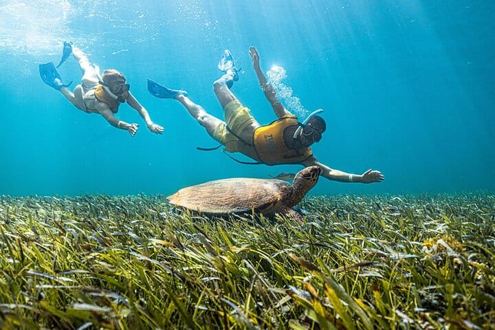 Snorkelling Locations in Surprise Arizona