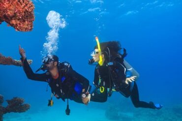 Snorkelling Locations in Tacoma Washington