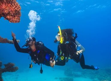 Snorkelling Locations in Tacoma Washington