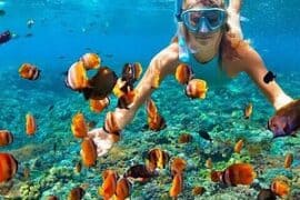 Snorkelling Locations in Turlock California