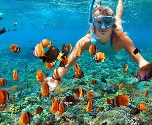 Snorkelling Locations in Turlock California