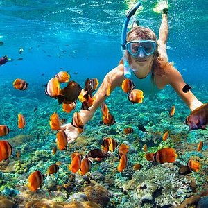 Snorkelling Locations in Turlock California