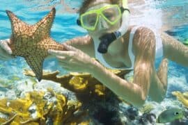 Snorkelling Locations in Upland California