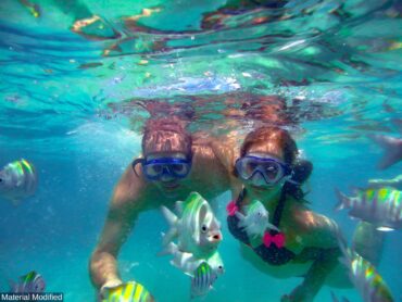 Snorkelling Locations in Whittier California