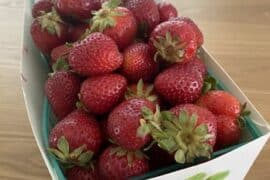 Strawberry Picking Places in Buena Park California