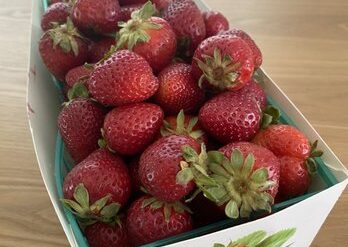 Strawberry Picking Places in Buena Park California