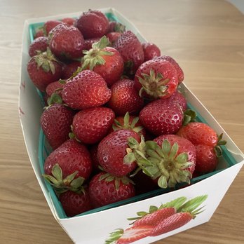 Strawberry Picking Places in Buena Park California