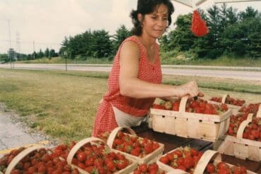 Strawberry Picking Places in Dublin California