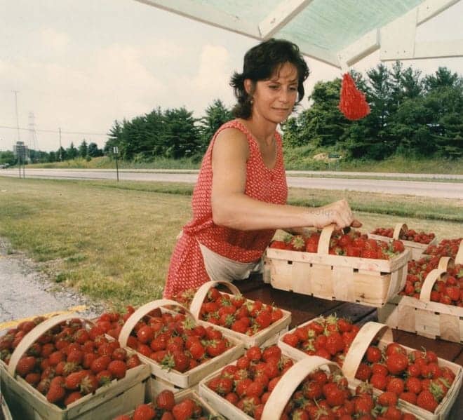 Strawberry Picking Places in Dublin California