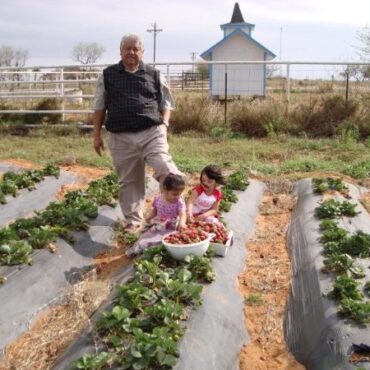 Strawberry Picking Places in Edinburg Texas