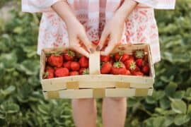 Strawberry Picking Places in Fullerton California