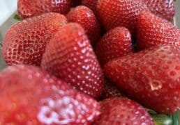 Strawberry Picking Places in Garden Grove California