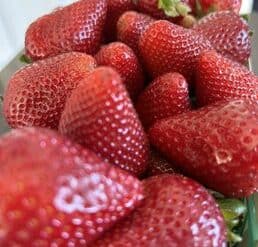 Strawberry Picking Places in Garden Grove California