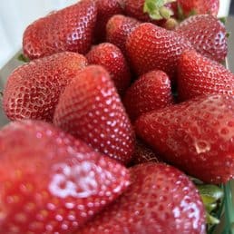 Strawberry Picking Places in Garden Grove California