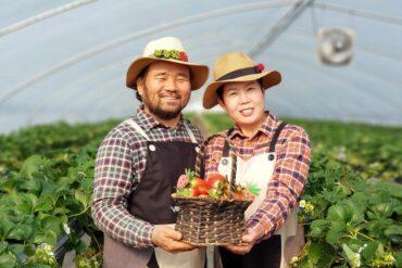 Strawberry Picking Places in Jurong East