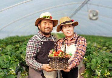 Strawberry Picking Places in Jurong East