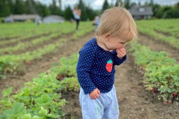 Strawberry Picking Places in Kent Washington