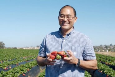 Strawberry Picking Places in Oceanside California