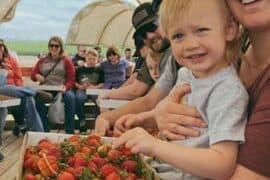 Strawberry Picking Places in Pasco Washington