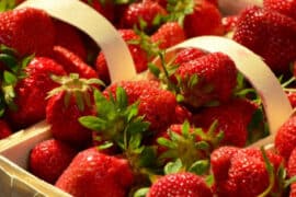 Strawberry Picking Places in Phoenix Arizona