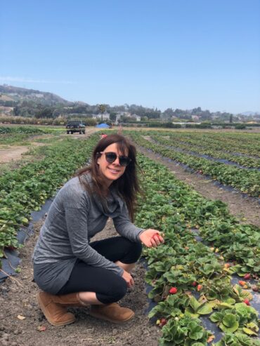 Strawberry Picking Places in Pleasanton California