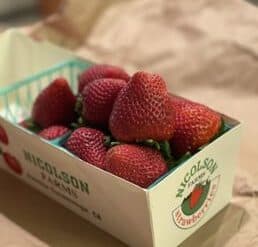 Strawberry Picking Places in Rancho Cucamonga California