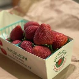 Strawberry Picking Places in Rancho Cucamonga California