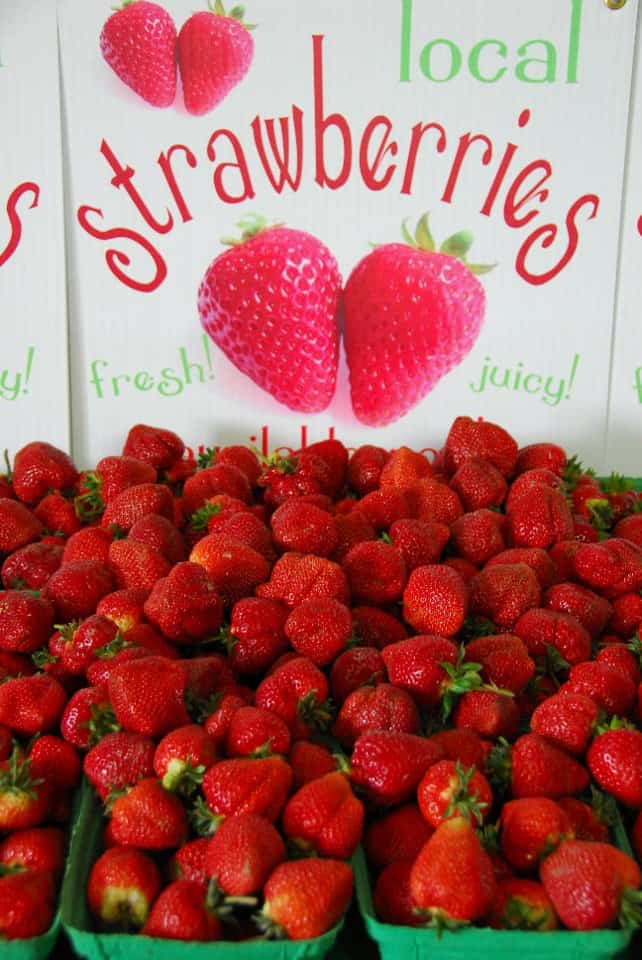 Strawberry Picking Places in Richmond California