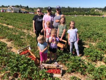 Strawberry Picking Places in Spokane Washington