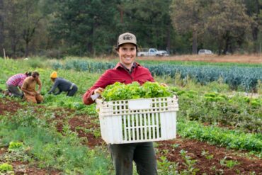 Strawberry Picking Places in Yuba City California